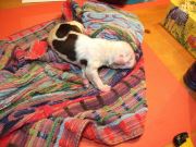 Bild 7